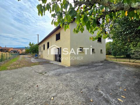 photo no. 2