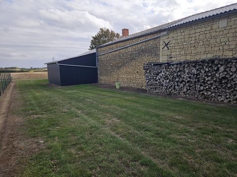 photo no. 12