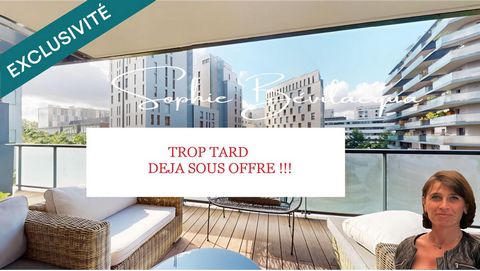 T3 ULTRA LUMINEUX GRANDE TERRASSE VUE DEGAGEE
