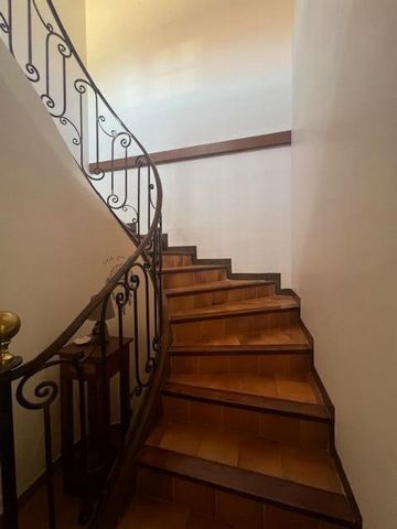 photo no. 6