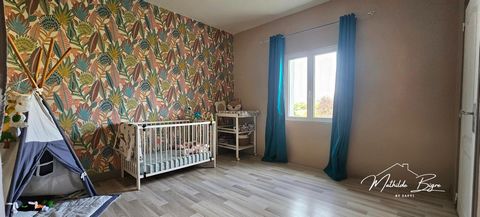 photo no. 11
