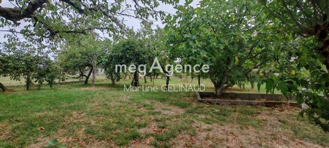 photo no. 10