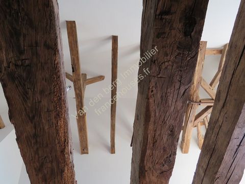 photo no. 18