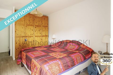 photo no. 10