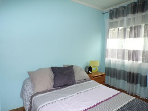 photo no. 8
