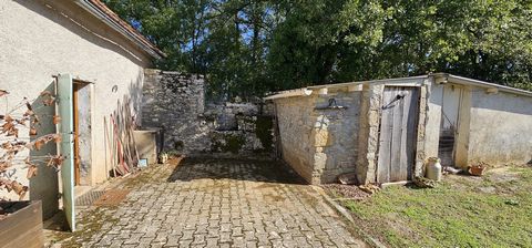 photo no. 15