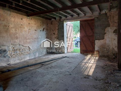 photo no. 11