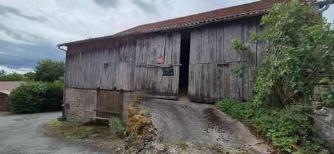 photo no. 15