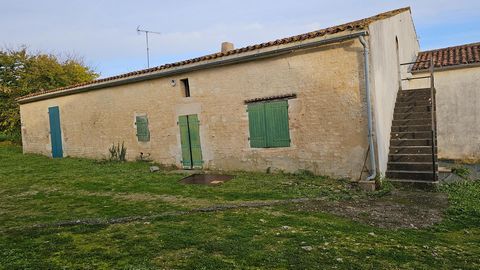 photo no. 1