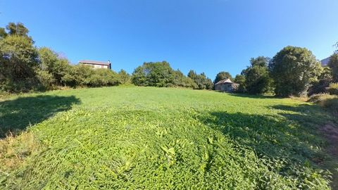 photo no. 13