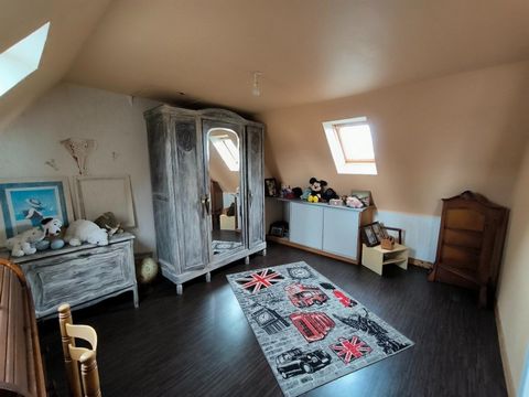 photo no. 12