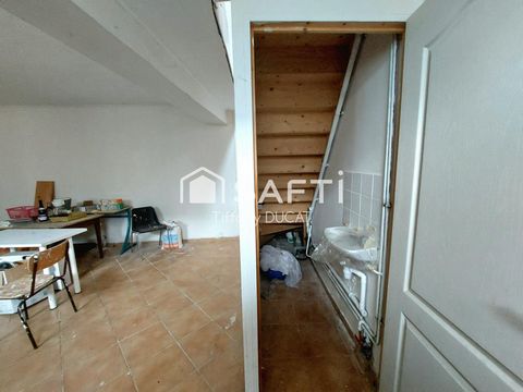 photo no. 6