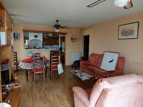 photo no. 2
