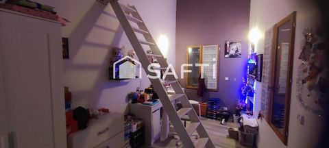 photo no. 8