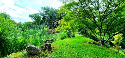 photo no. 14