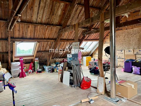 photo no. 12