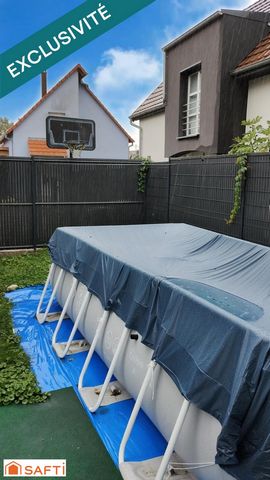 photo no. 11