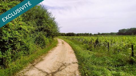 photo no. 5