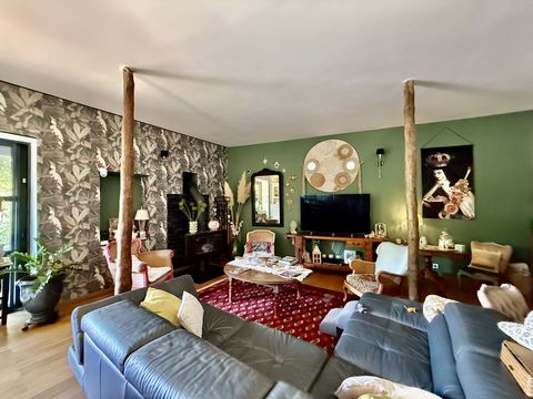 photo no. 11
