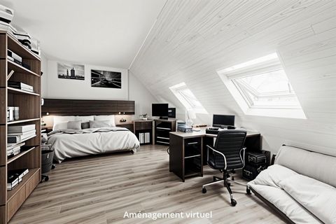 photo no. 8