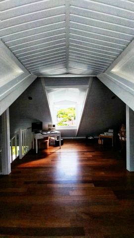 photo no. 8