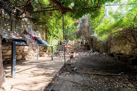 photo no. 14