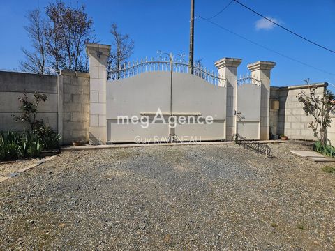 photo no. 16