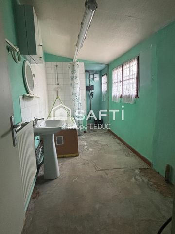photo no. 5