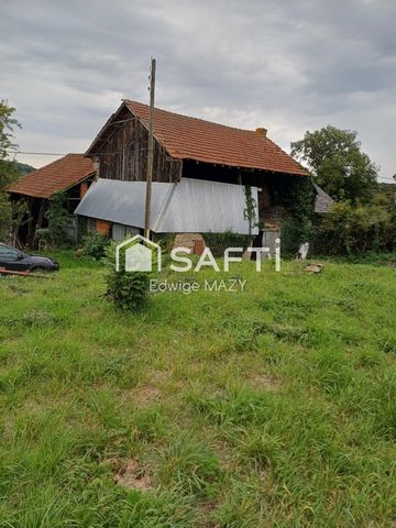 photo no. 14