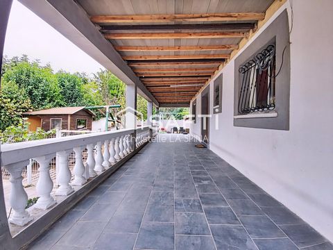 photo no. 12