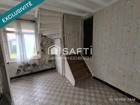 photo no. 7