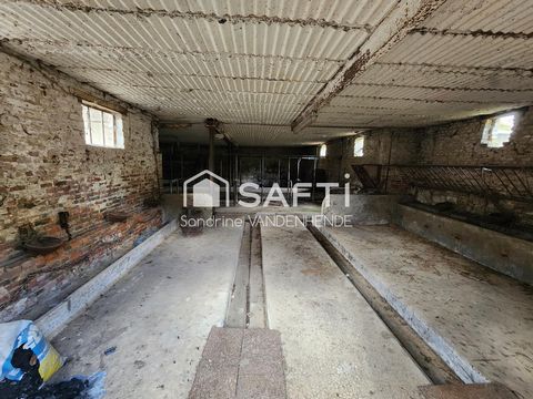 photo no. 14