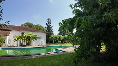 photo no. 10