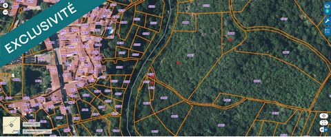 Ensemble de 4 parcelles attenantes à Camplong (34600) – 7 778 m² de nature
