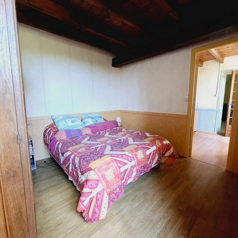 photo no. 12