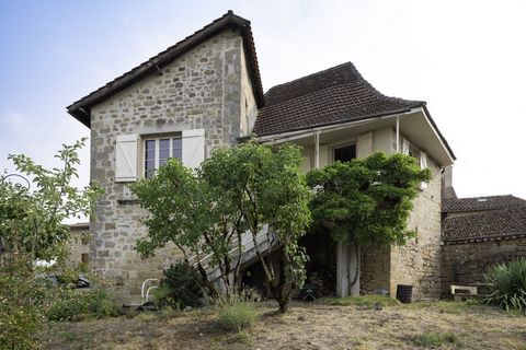 photo no. 2