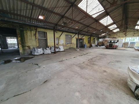 photo no. 2