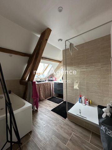 photo no. 14