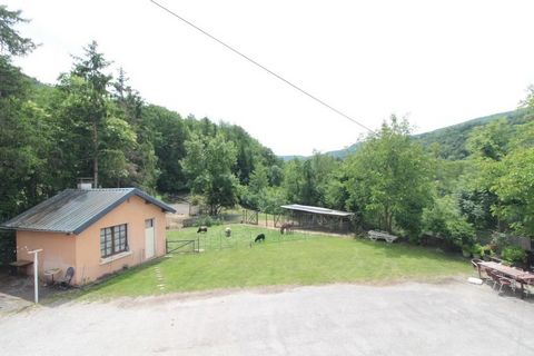 photo no. 14