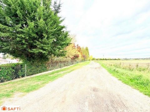 photo no. 19