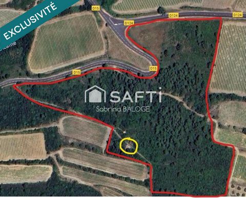 Terrain Agricole de 31000m2 avec Mazet cadastré