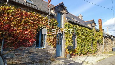 photo no. 16