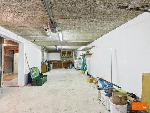 photo no. 16
