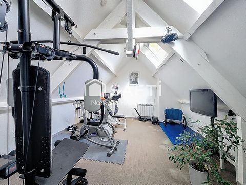 photo no. 11