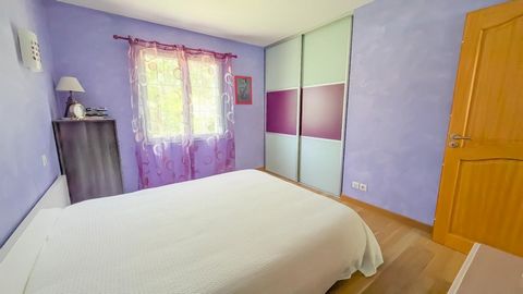 photo no. 11