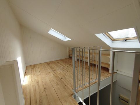 photo no. 9