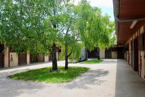 photo no. 2