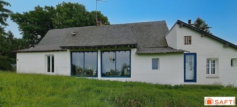photo no. 10