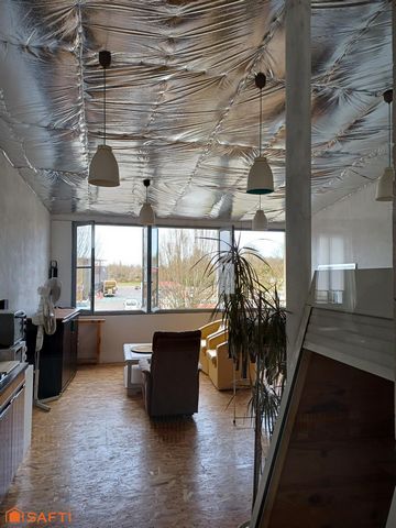 photo no. 15