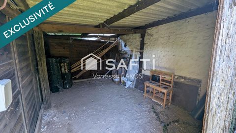 photo no. 13